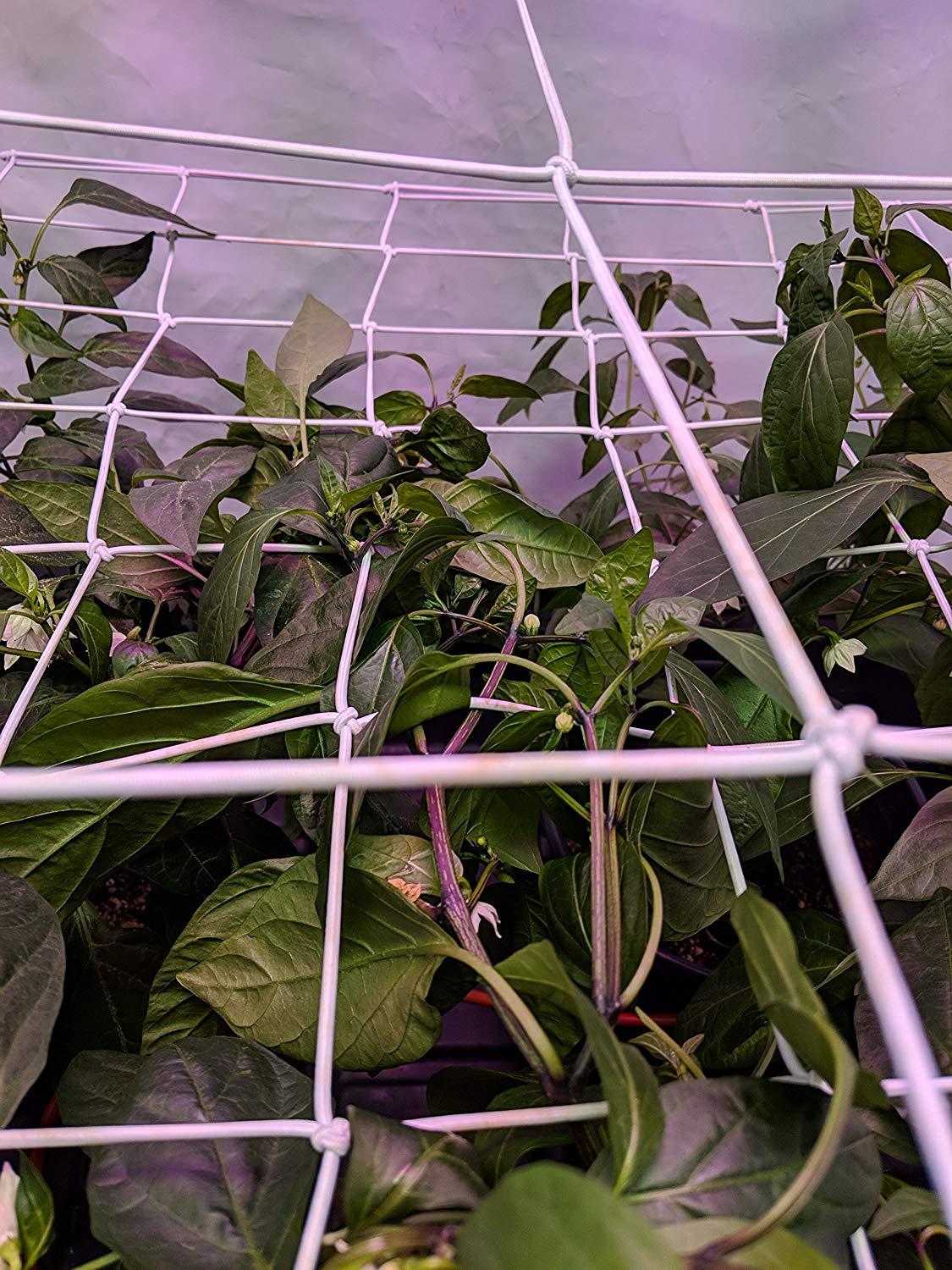 Heavy-Duty Elastic Trellis Netting with Hooks for Grow Tents