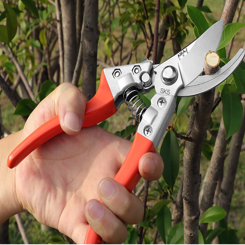 Pruning Shears, Which Used in Gardens,Fruit Trees,Flowers and other ...