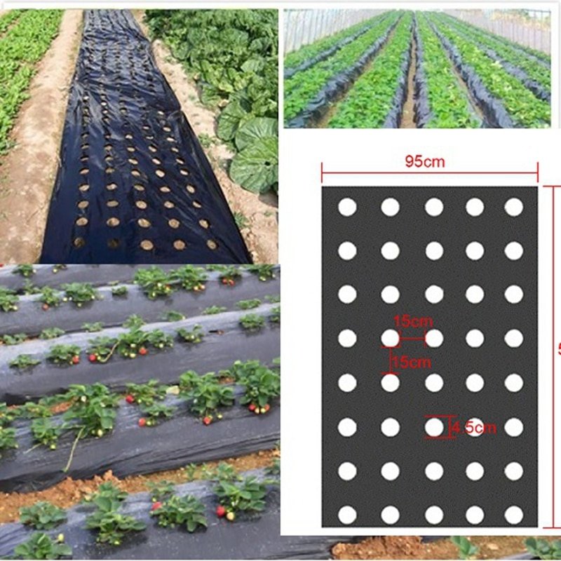 5Holes 95cm*50m 0.02mm Black Garden Vegetable Membrane Agricultural Plants Mulching Seeding Plastic Perforated PE Film