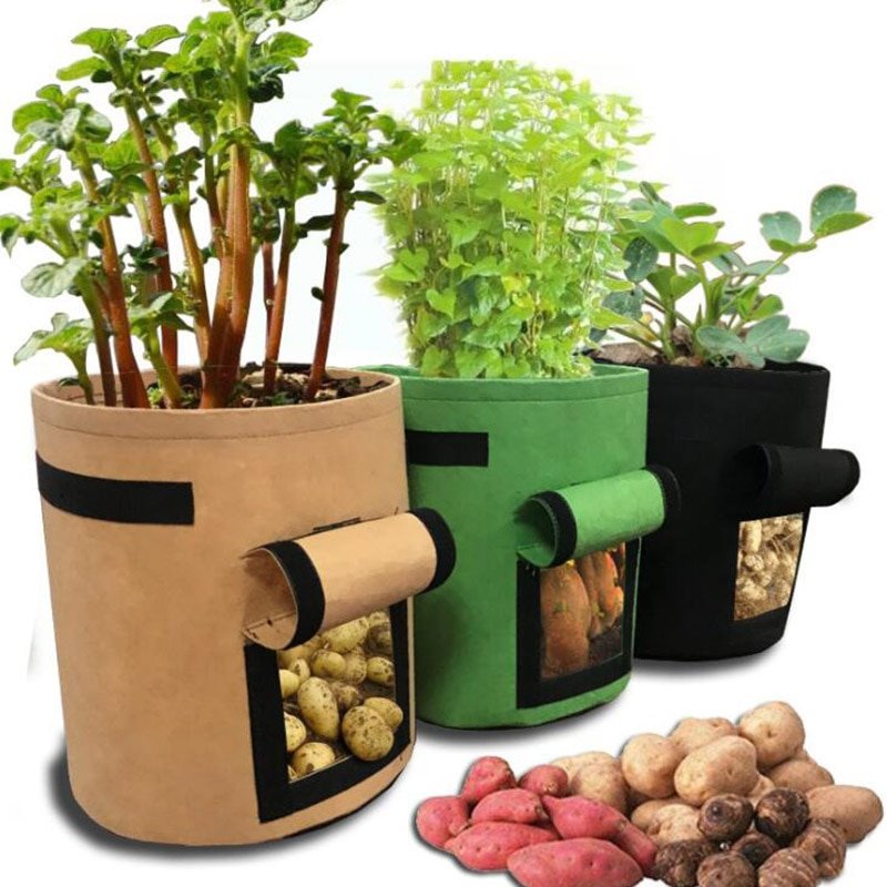 Plant Grow Bags 3 Size Home Garden Potato Pot Greenhouse Vegetable Growing Bags  Vertical Garden Bag Seedling Bonsai Container